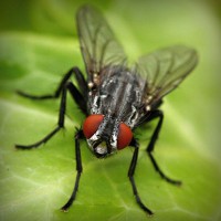 /album/sanrunex/photolia-a01-jpg/