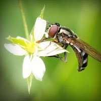 /album/sanrunex/photolia-a02-jpg/