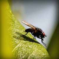 /album/sanrunex/photolia-a04-jpg/