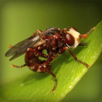 /album/sanrunex/photolia-a06-jpg/