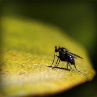 /album/sanrunex/photolia-a07-jpg/